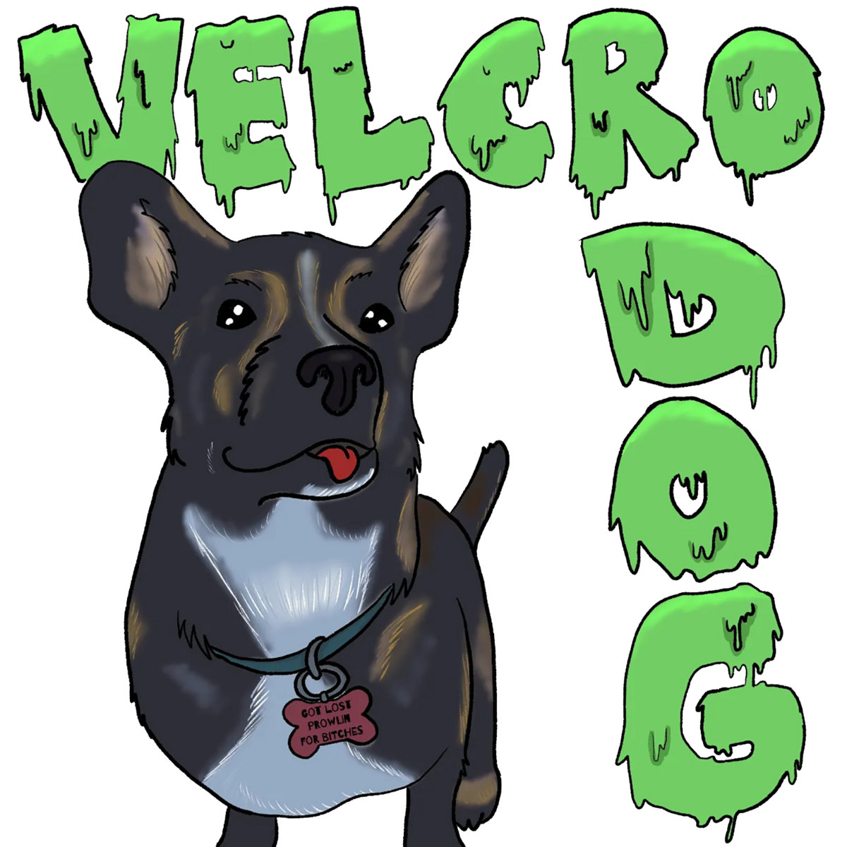 Velcro Dog Helix Patches Velcro Dog