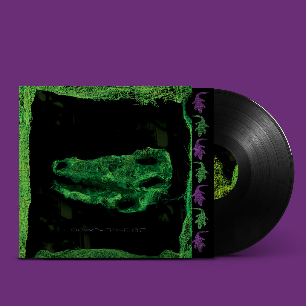 A Brief Guide to the Animal Collective Discography Bandcamp Daily