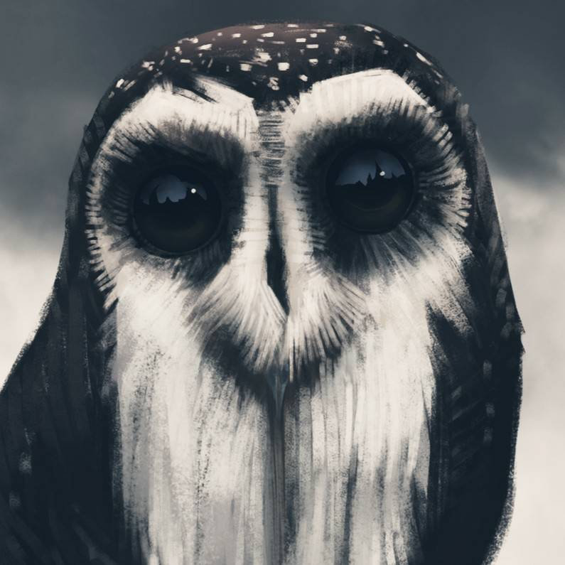 owl_eyes' collection Bandcamp