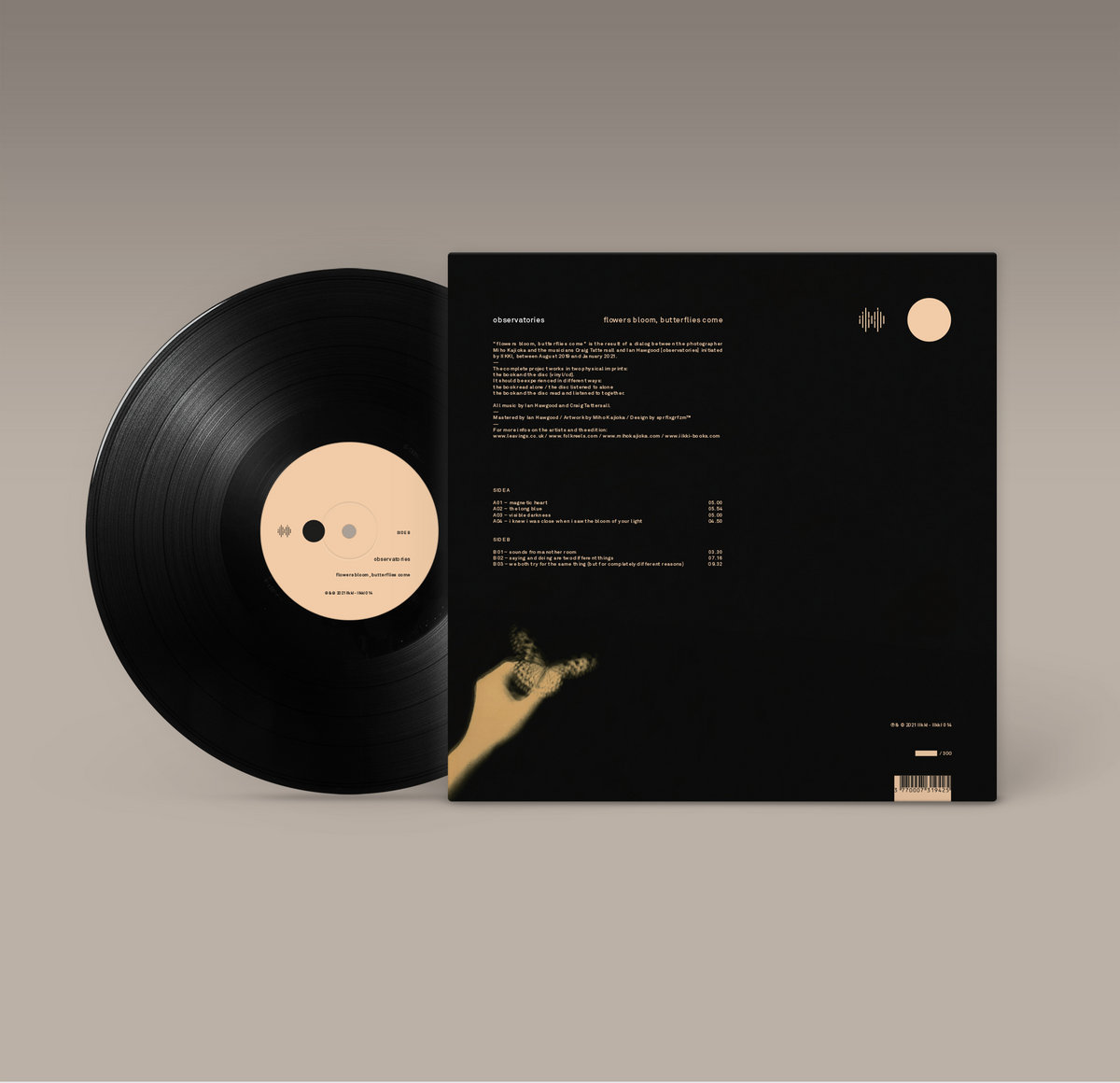 flowers bloom, butterflies come observatories folk reels