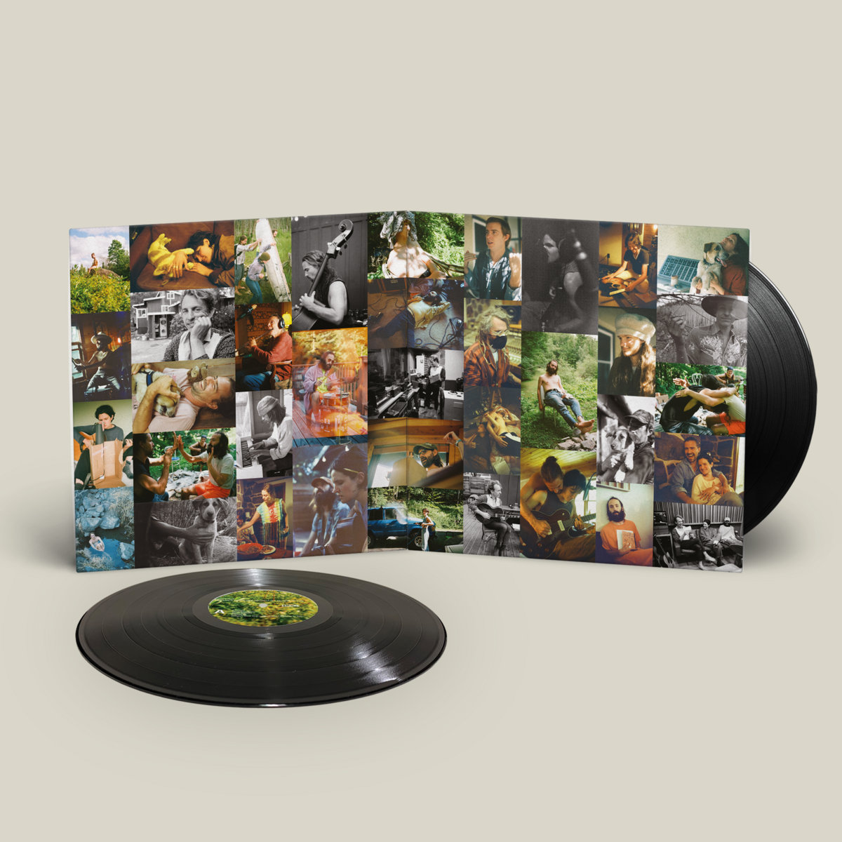 Dragon New Warm Mountain I Believe In You Big Thief