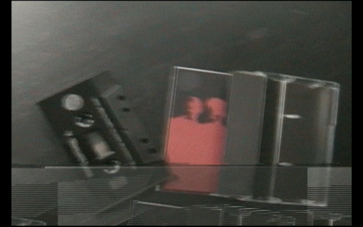 Vicious Pastimes House of Harm