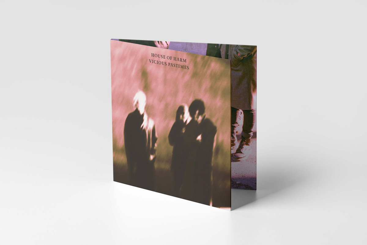 Vicious Pastimes House of Harm