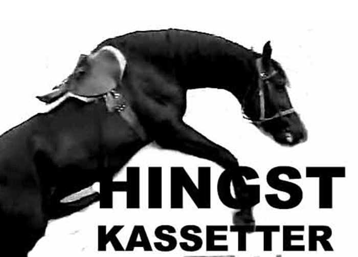 Absolut Hingst HINGST