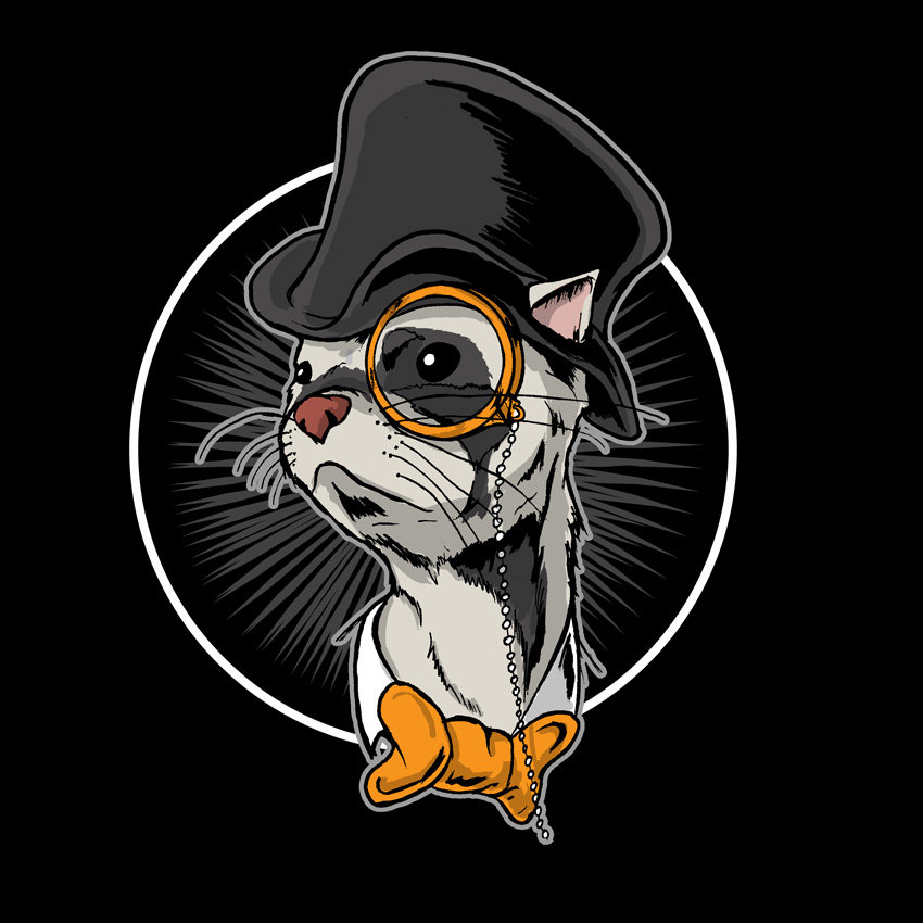 Music Dancing Ferret Discs