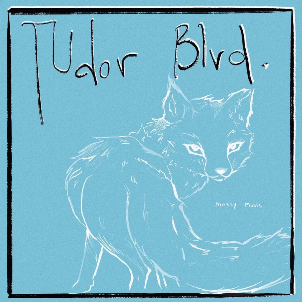 Come over so we can collect chaos emeralds Tudor Blvd.