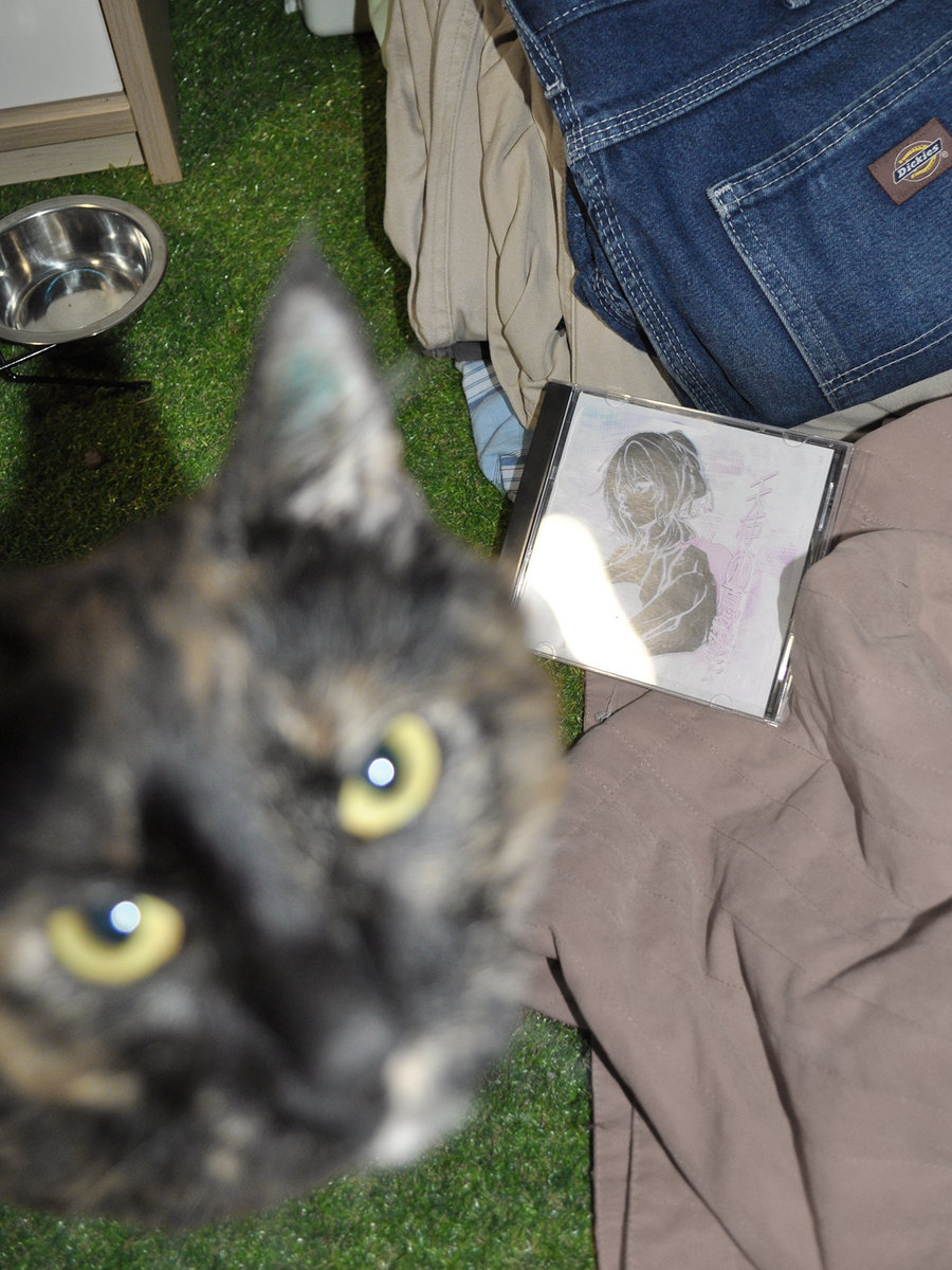 The Melancholy of Angels tomspicy