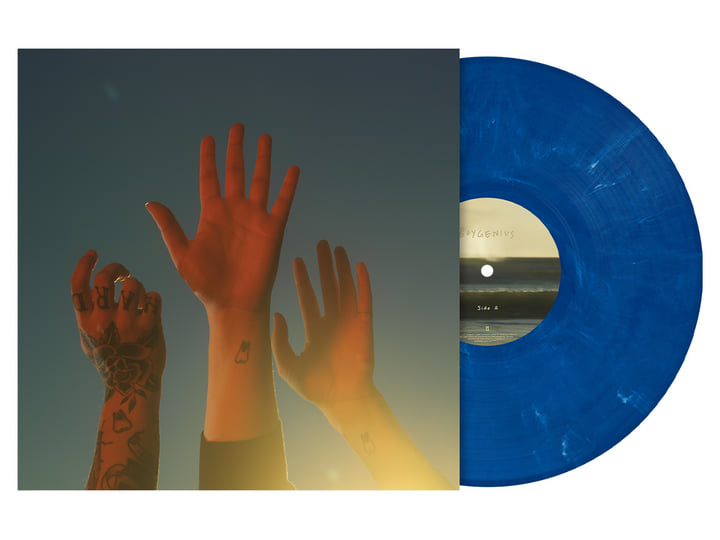 boygenius the record LP レコード