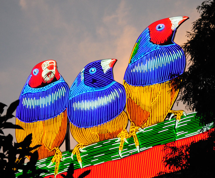 Special Filter Special Filter