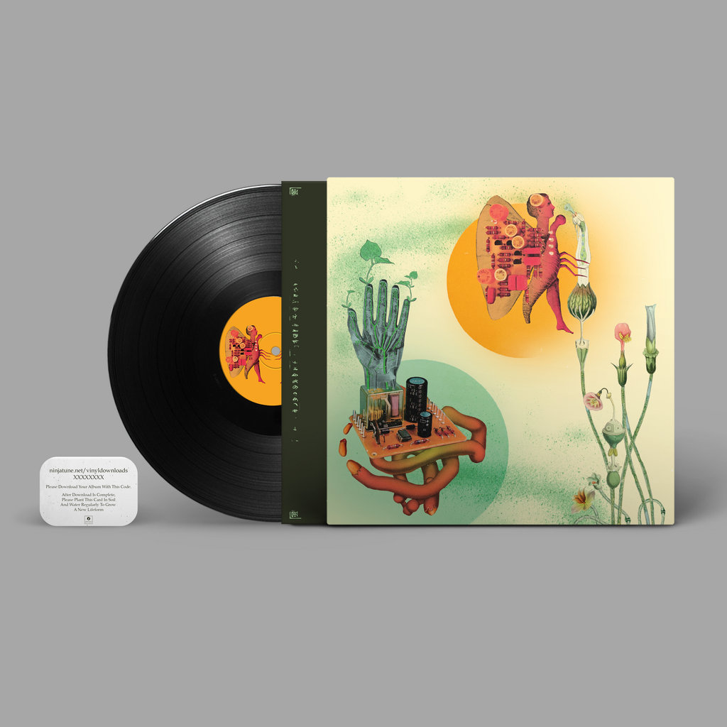 Salami Rose Joe Louis, “Akousmatikous” Bandcamp Daily