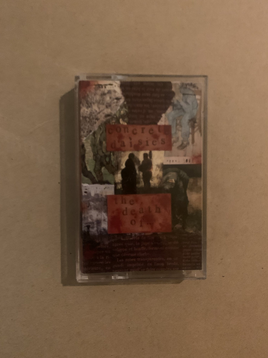 the death of… Concrete Daisies