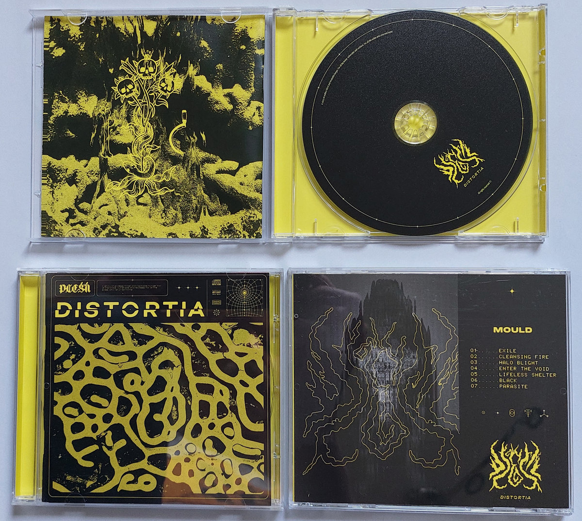 Mould / Pleśń Distortia