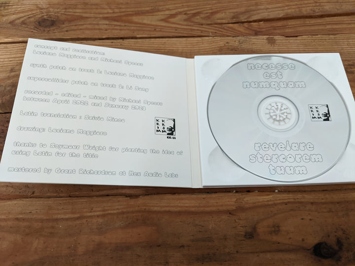 necesse est numquam revelare stercorem tuum | Luciano Maggiore 