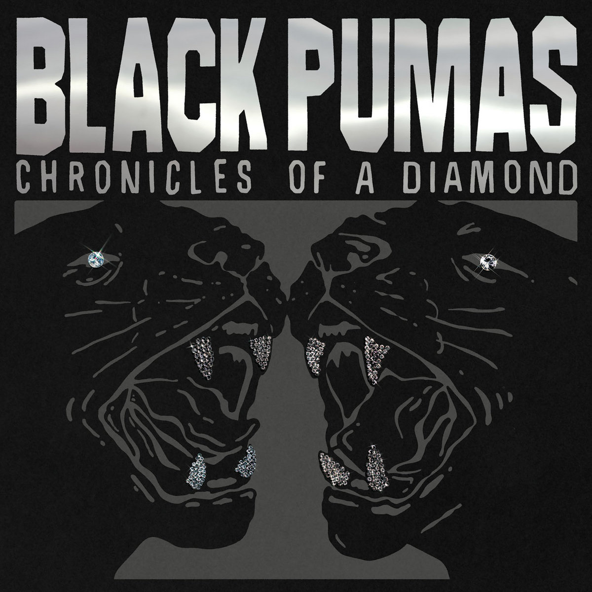 Chronicles of a Diamond Black Pumas