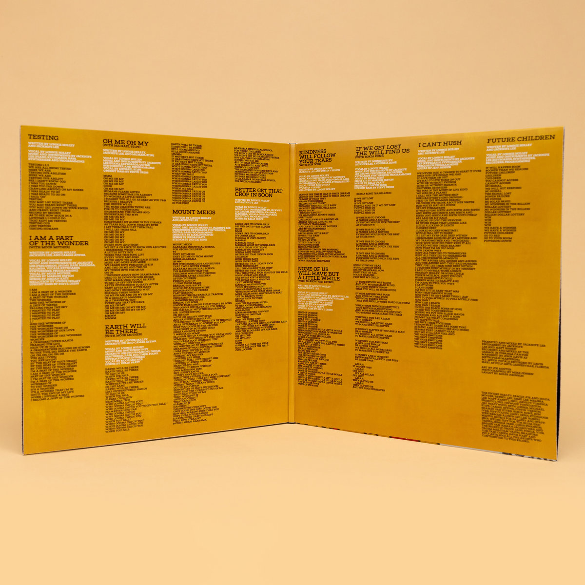 Oh Me Oh My Lonnie Holley