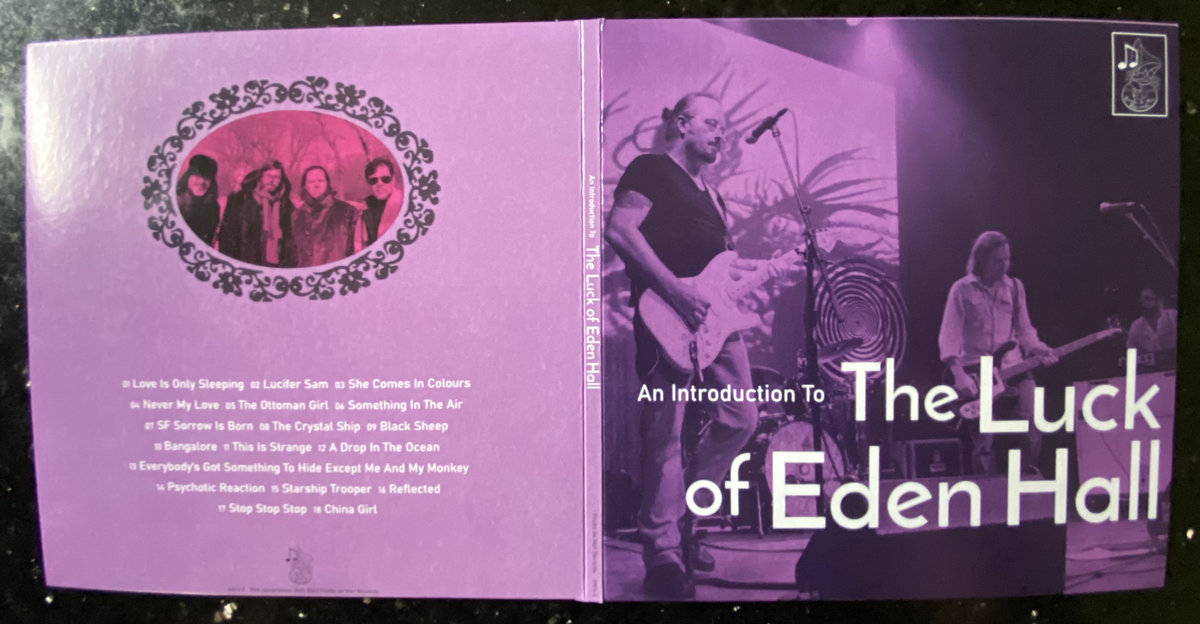 An Introduction to The Luck of Eden Hall The Luck of Eden Hall