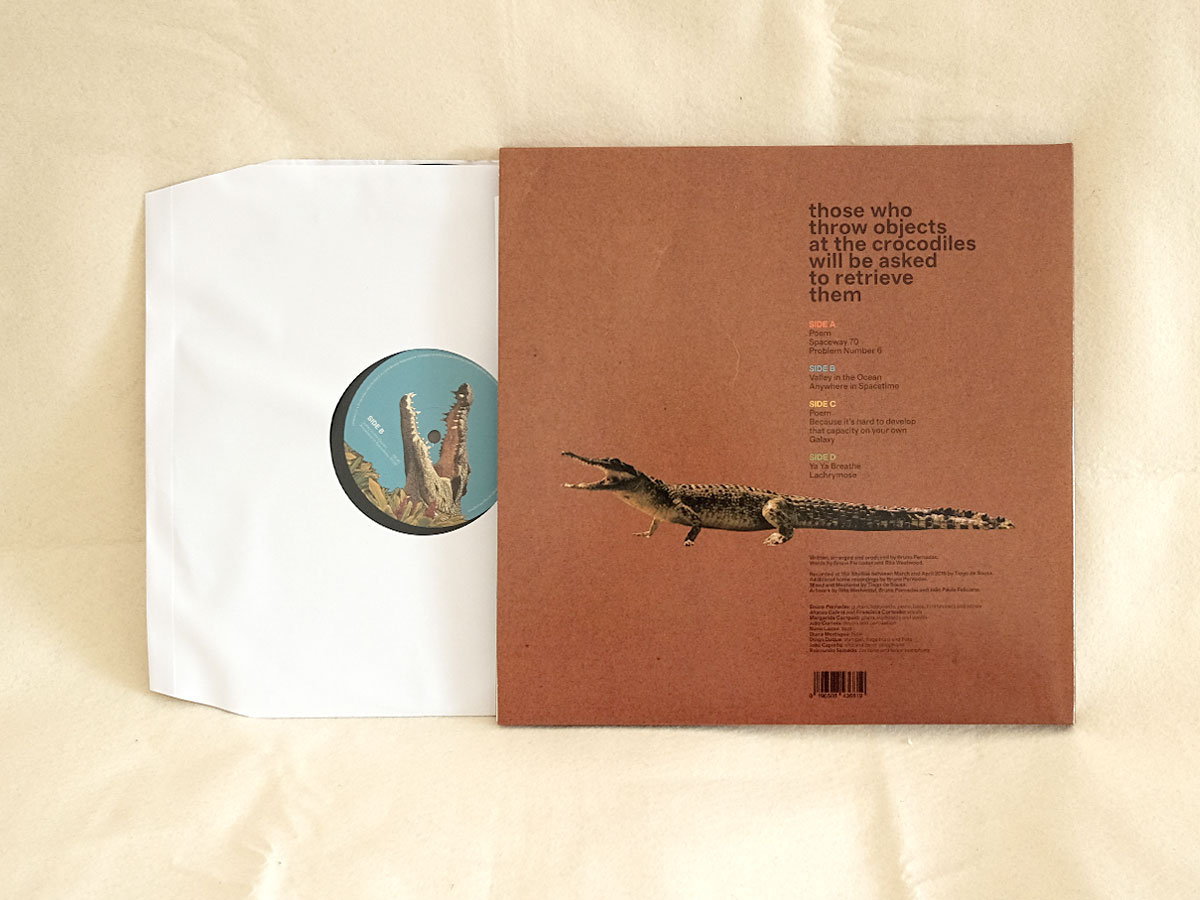 Those Who Throw Objects at the Crocodiles Will Be Asked to Retrieve