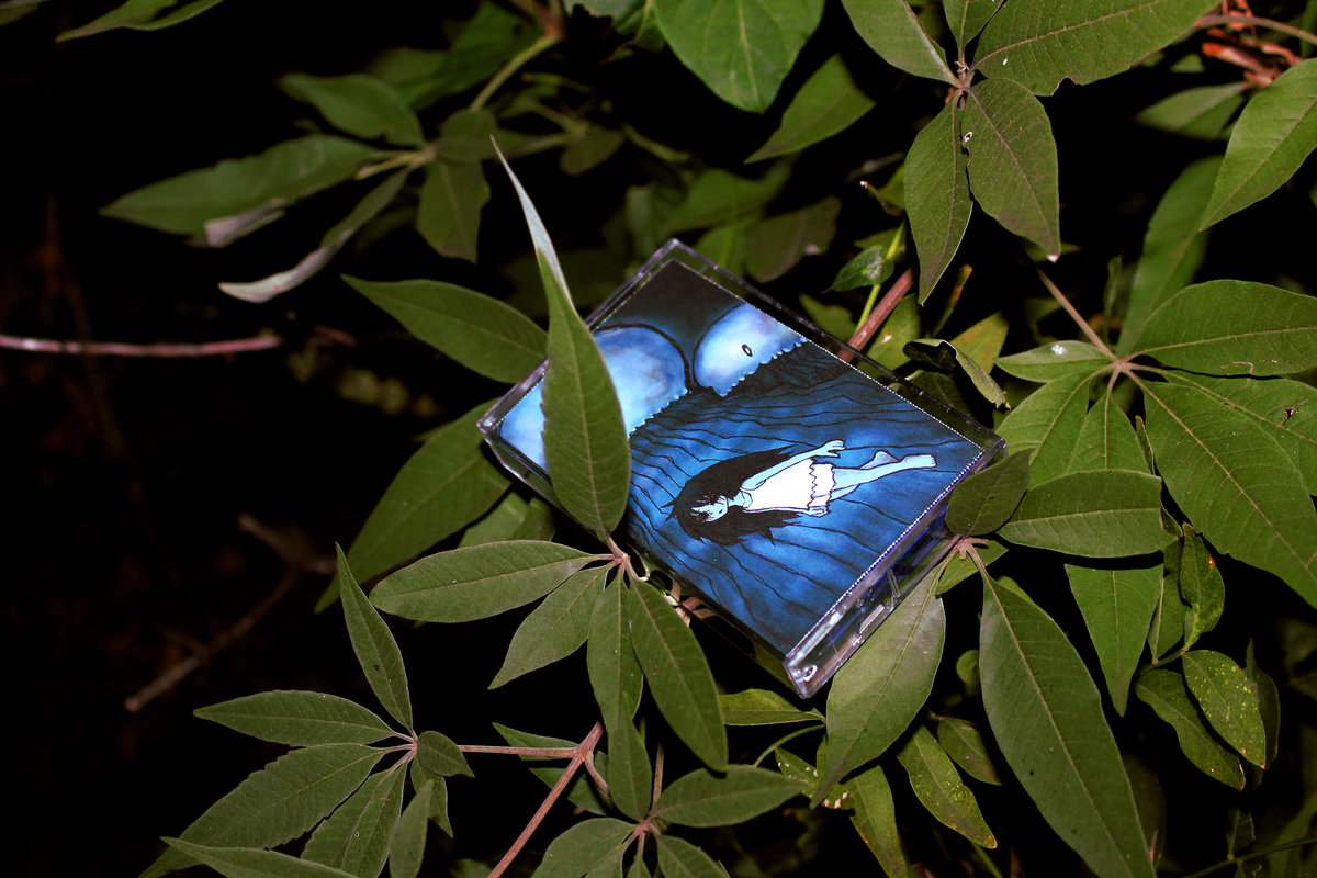 peachesjpg's collection Bandcamp