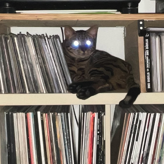 futureruins' collection Bandcamp