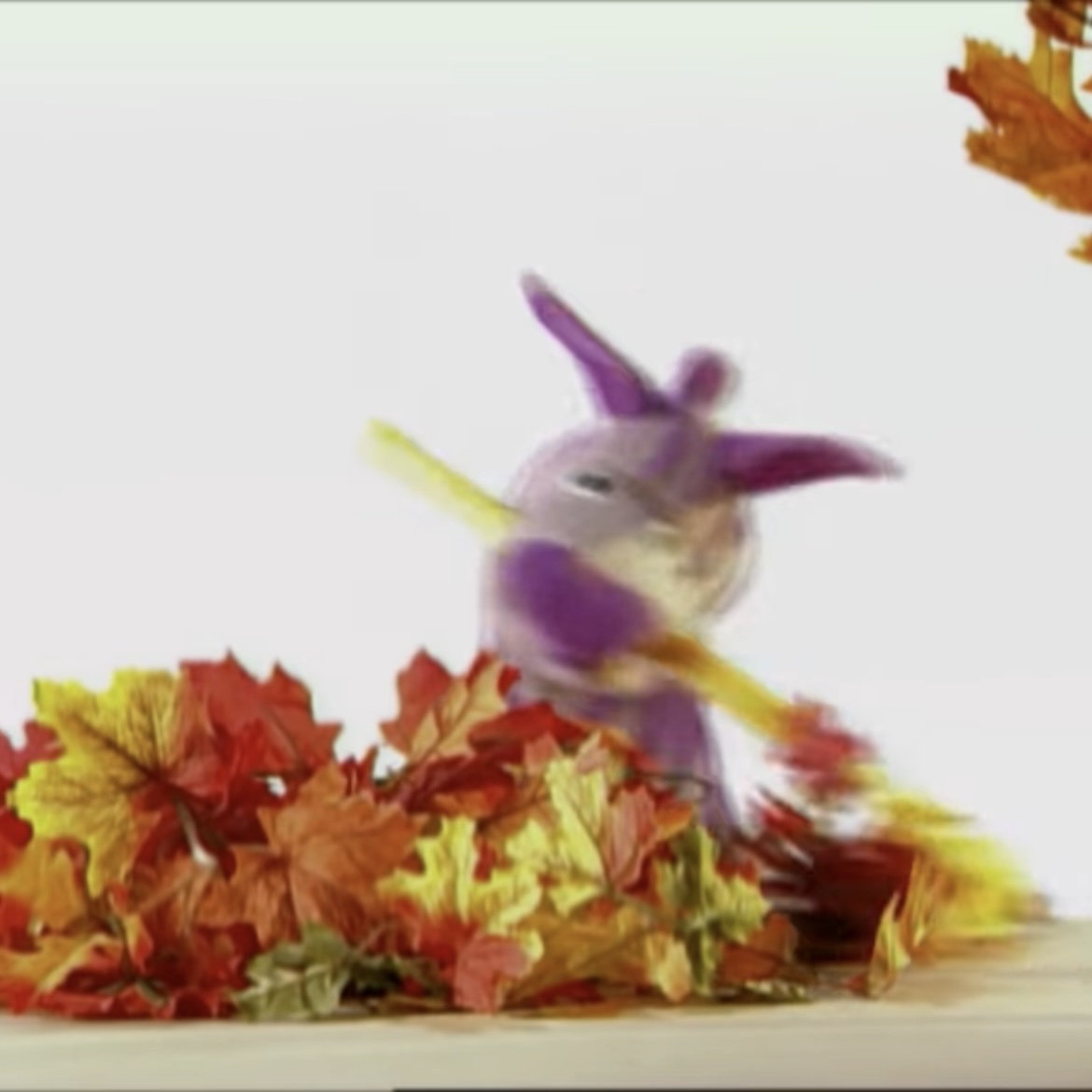 Boy Album | You're Wrong, Sulfuric Acid!