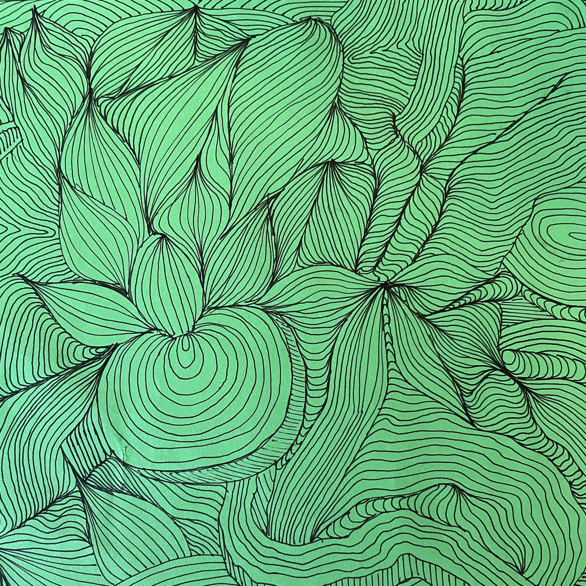 Orange Slice Spike Broderick