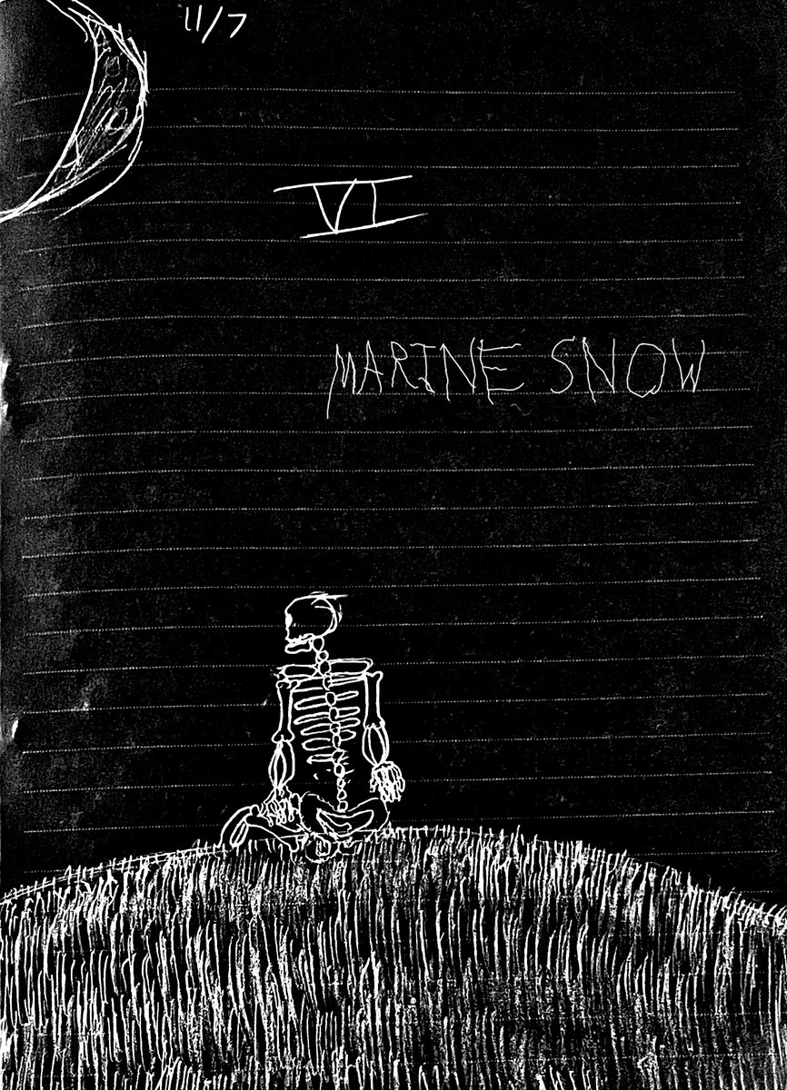 run away, and never look back marine snow