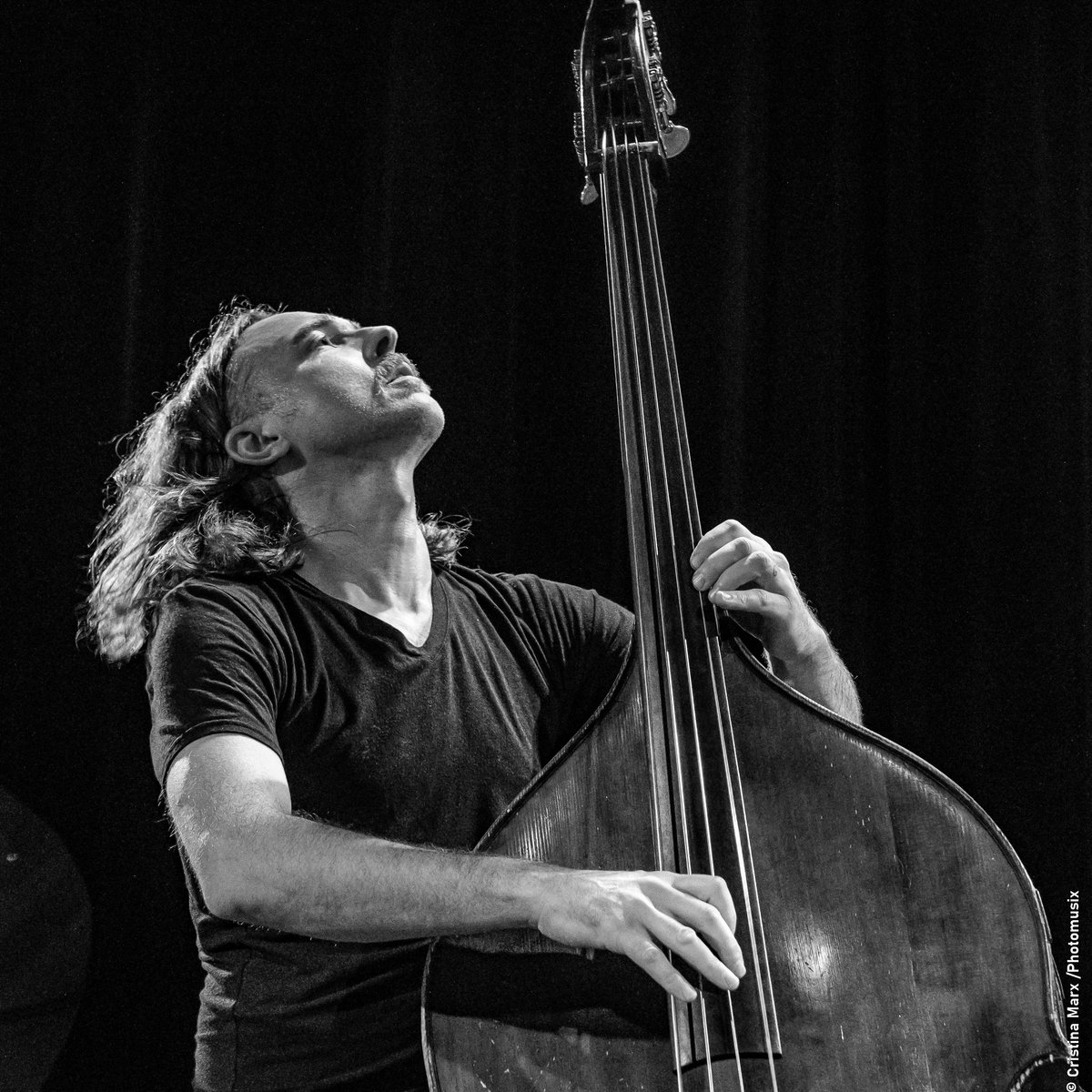 Aaron Lumley Plays the Doghouse Bass Aaron Lumley