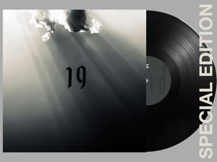 Hard Light | Drop Nineteens