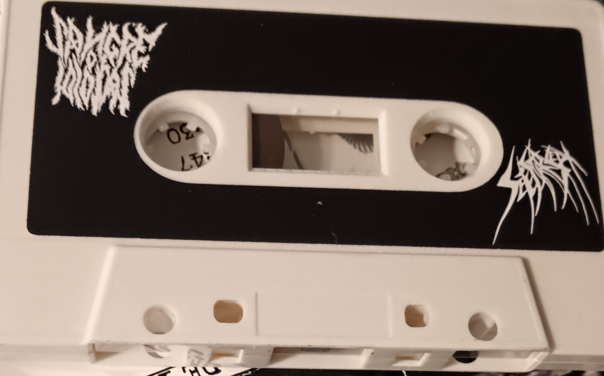 SANGRE DE IDIOTAS / SETE STAR SEPT/ INFECTED WORDS / KANAKO LIKES FRUIT