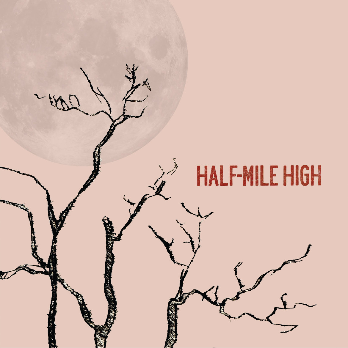 HalfMile High HalfMile High