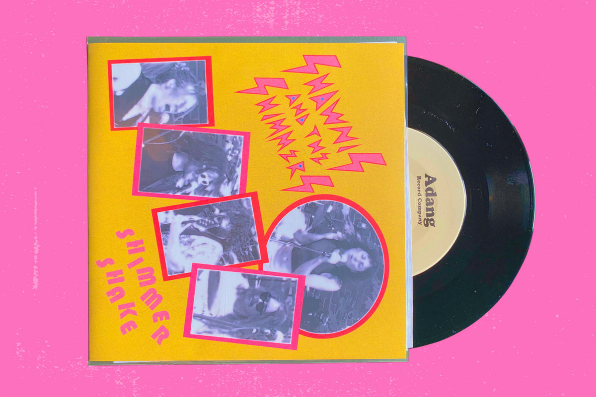 Shimmer Shake Shawnis and The Shimmers Punk Valley Records