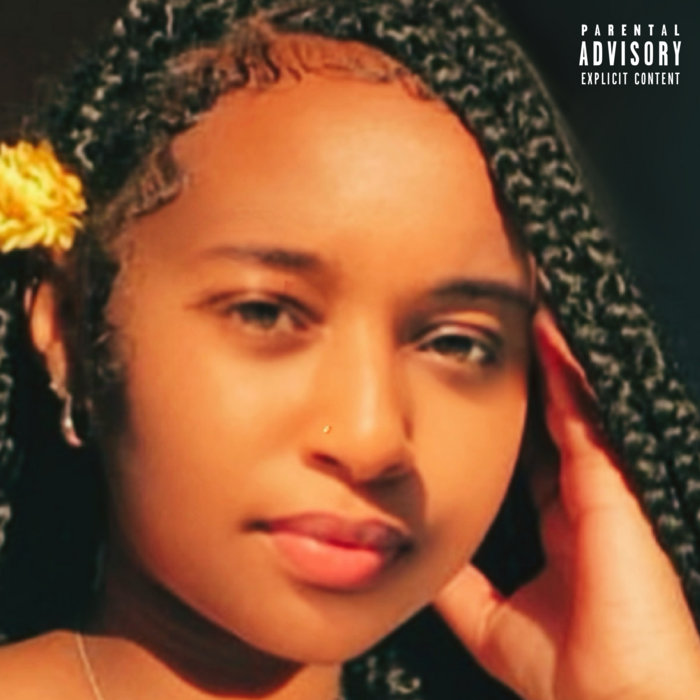 Blair’s Diary Blair Nova