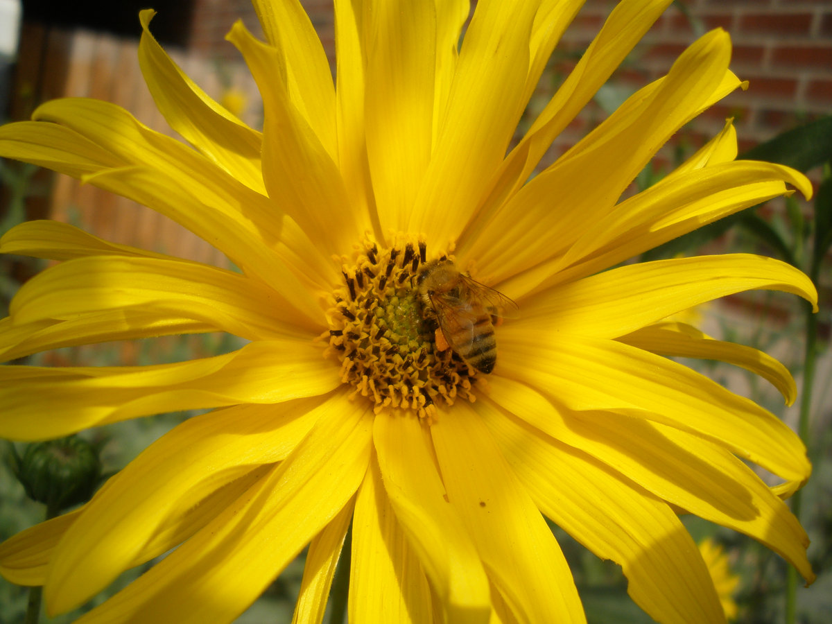 Broadway Street Broadway Street