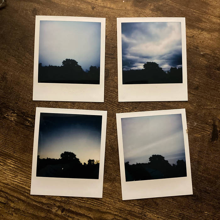 It's Been Too Long Nick Feltes