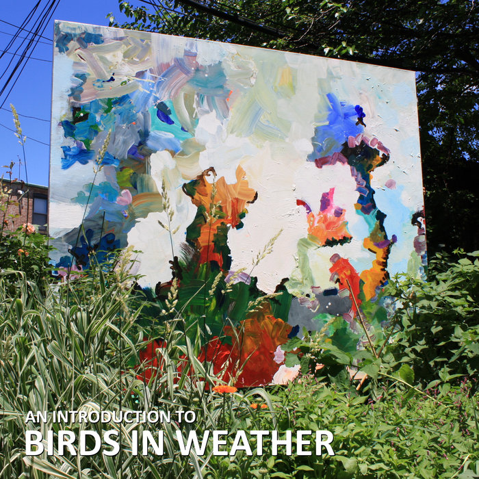 An Introduction to Birds in Weather Birds in Weather