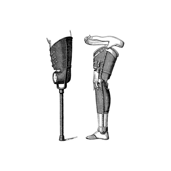 Prostheses The Anatomy Lesson