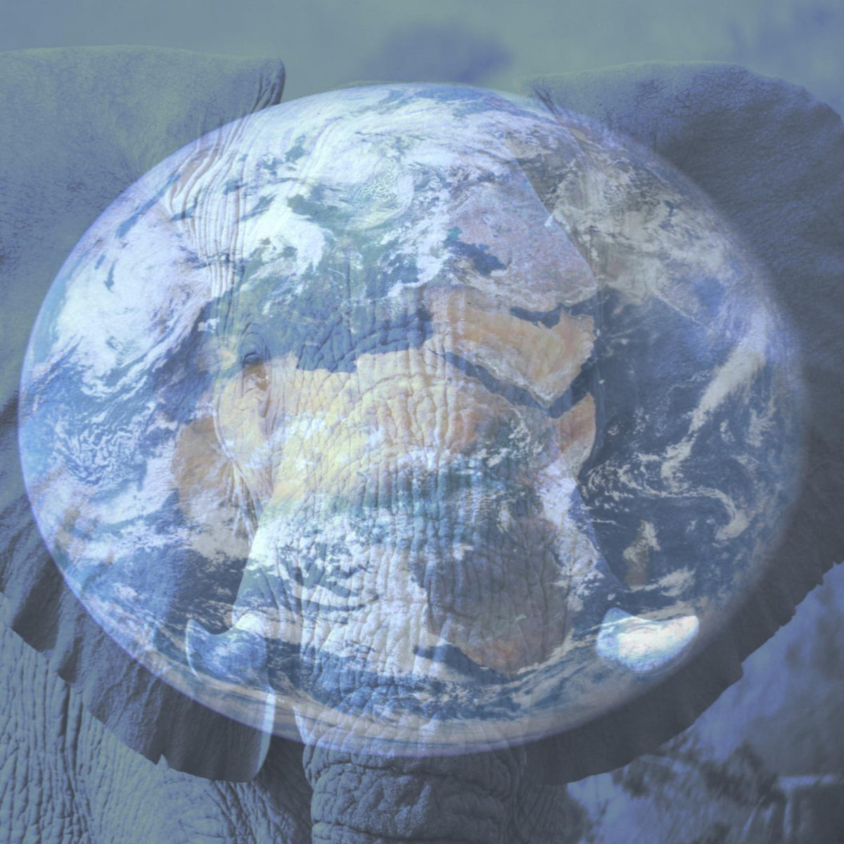 Blue Remembered Earth Dan Cook