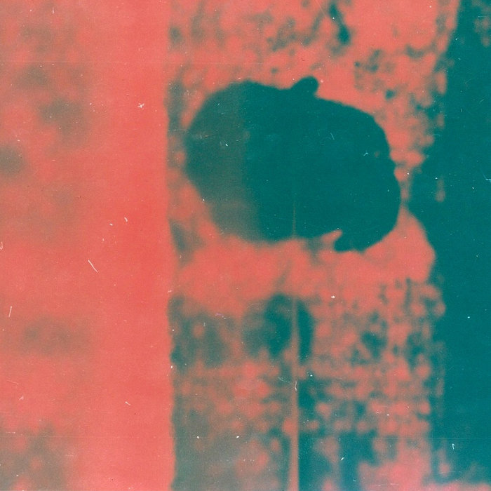 Night//Day Pink Vomit