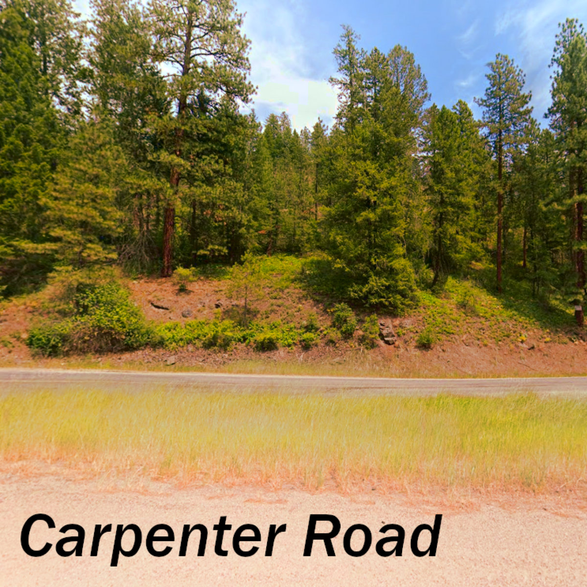 Carpenter Road The Daydreamers