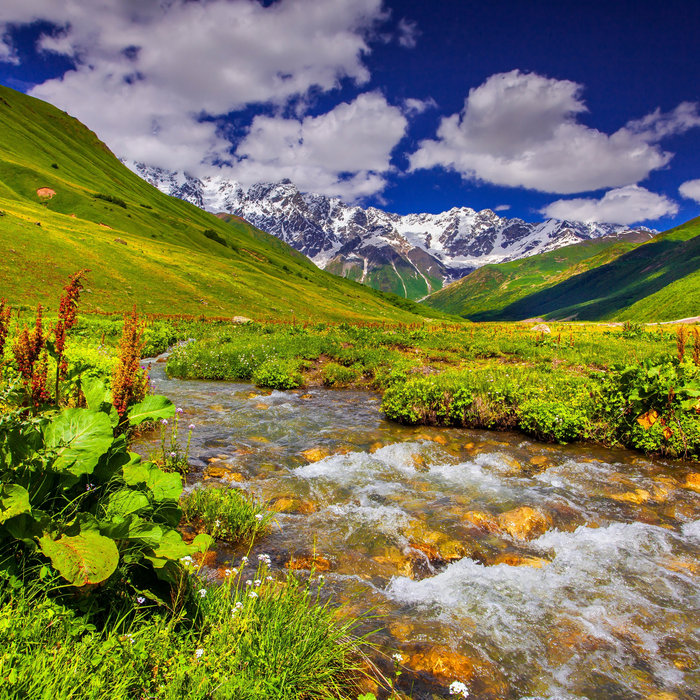 (0706844578) Table top scales for kitchen, bakeries, supermarkets in