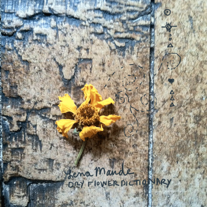 Dry Flower Dictionary Lena Maude