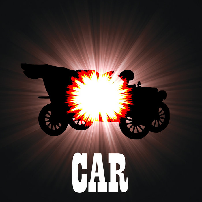 Bangs Hank Green Mink Car Cover