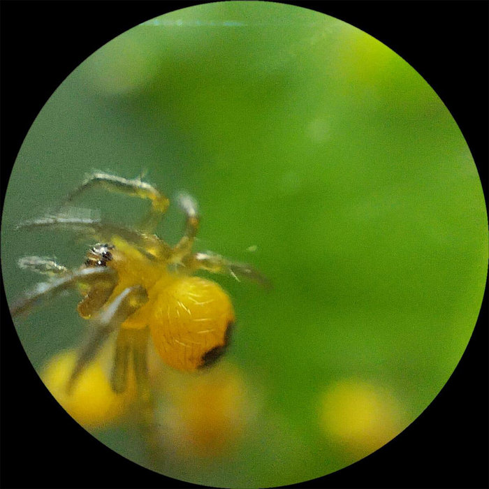 Water Under the Bus Oonark Klaes & {AN} EeL Fragments Of Blue