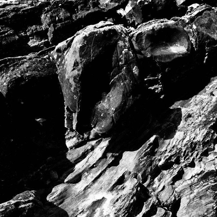 Bleeding Coil Ade Hodges