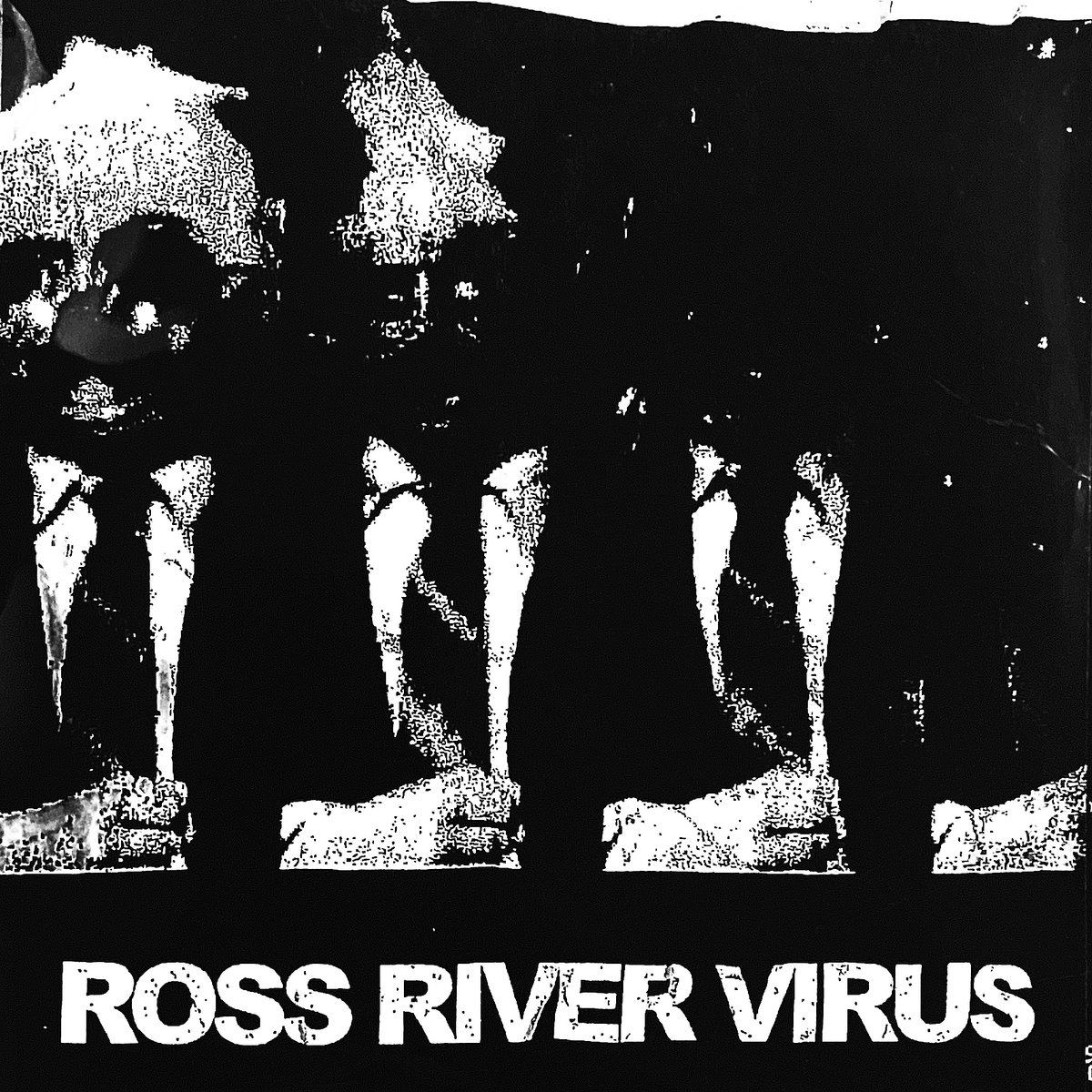 Ross River Virus Conrad Molech