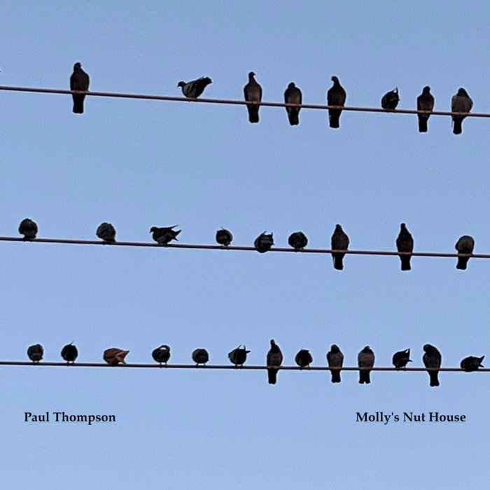 Molly's Nut House Paul Thompson