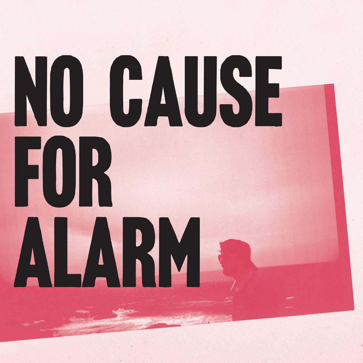 NO CAUSE FOR ALARM Avi Vinocur