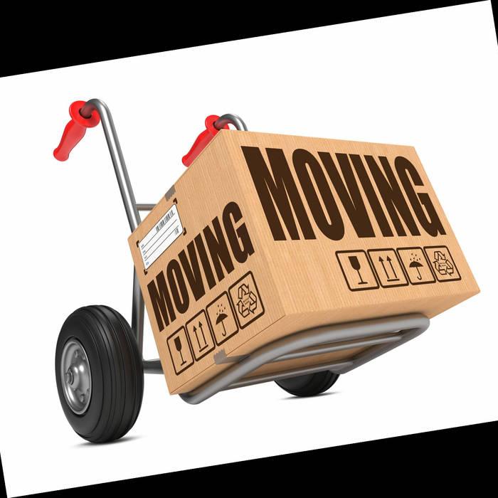 rtdrs calgary office movers rtdrs calgary office movers Kristen Gagnon