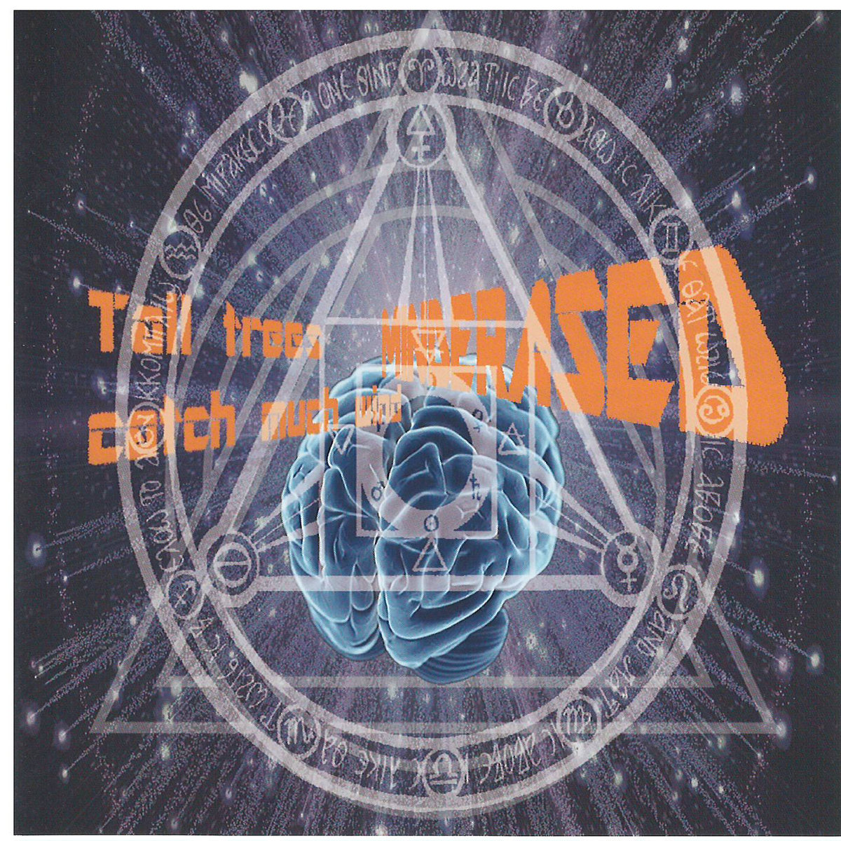 Tall Trees Catch Much Wind minderased