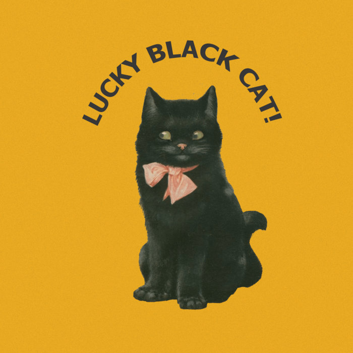 Lucky Black Cat! ensley spirit